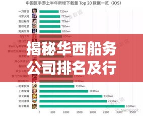揭秘华西船务公司排名及行业霸主地位！