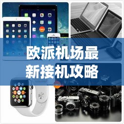 正襟危坐