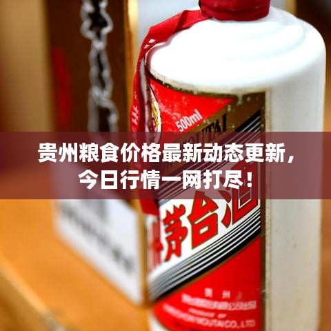 贵州粮食价格最新动态更新，今日行情一网打尽！