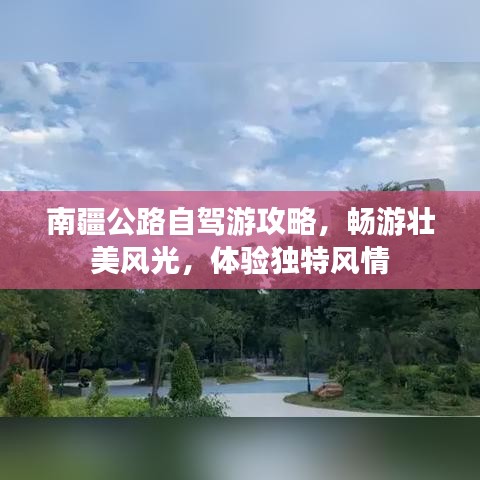 芳兰竟体