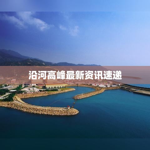 洁身自好
