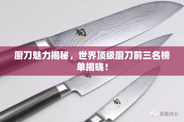 料事如神