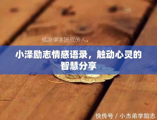 小泽励志情感语录，触动心灵的智慧分享