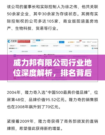 威力邦有限公司行业地位深度解析，排名背后的实力展现