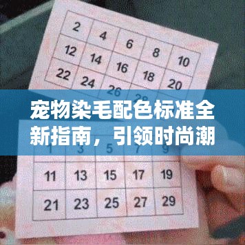 2025年8月 第35页