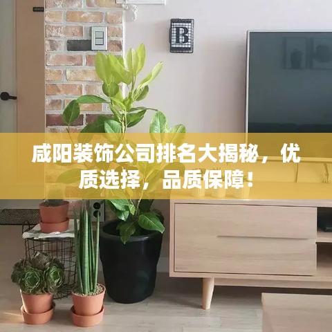 笔走如飞