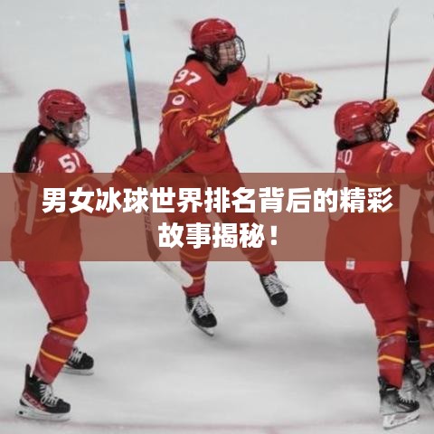 心得分享
