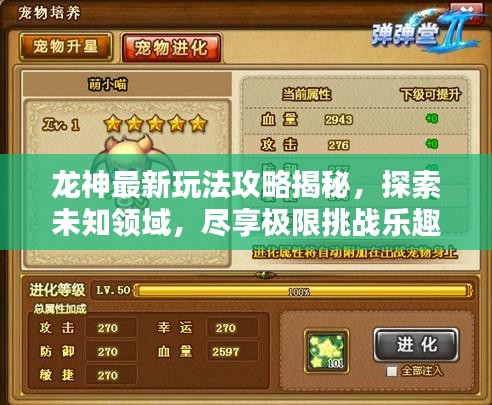 龙神最新玩法攻略揭秘，探索未知领域，尽享极限挑战乐趣！