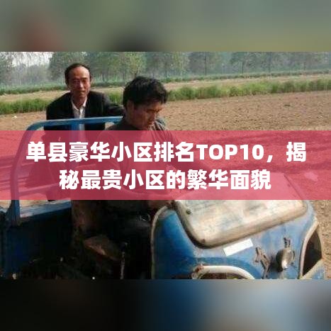 单县豪华小区排名TOP10，揭秘最贵小区的繁华面貌