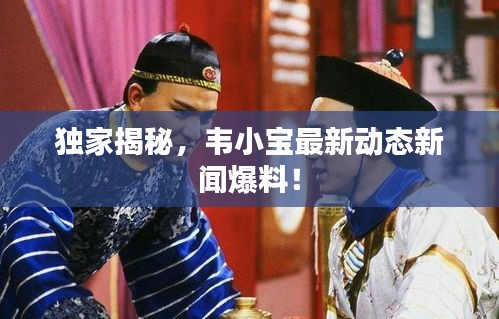 独家揭秘，韦小宝最新动态新闻爆料！