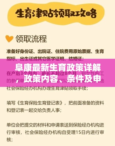 阜康最新生育政策详解，政策内容、条件及申请流程一网打尽！