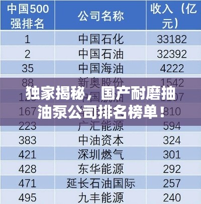独家揭秘，国产耐磨抽油泵公司排名榜单！