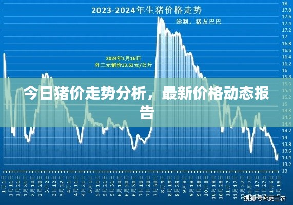 今日猪价走势分析，最新价格动态报告