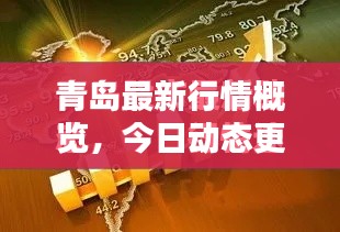 青岛最新行情概览，今日动态更新
