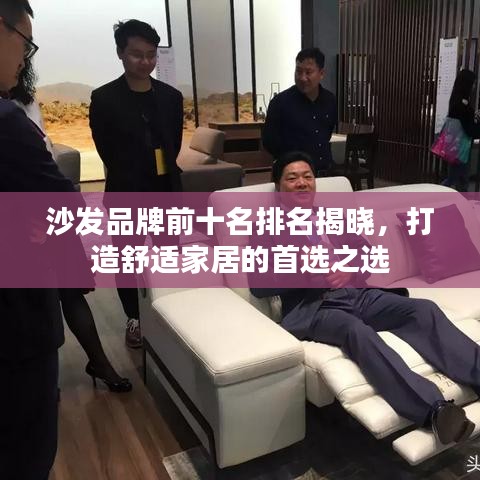 沙发品牌前十名排名揭晓，打造舒适家居的首选之选