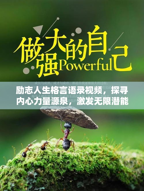 励志人生格言语录视频，探寻内心力量源泉，激发无限潜能
