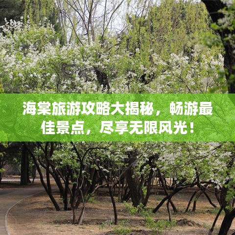 2025年8月20日 第3页