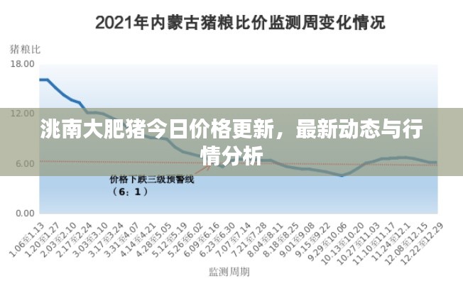洮南大肥猪今日价格更新，最新动态与行情分析