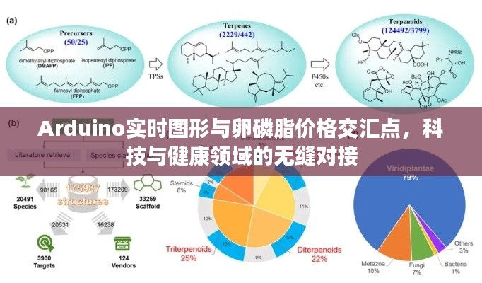 Arduino实时图形与卵磷脂价格交汇点，科技与健康领域的无缝对接