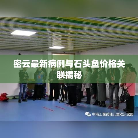 密云最新病例与石头鱼价格关联揭秘