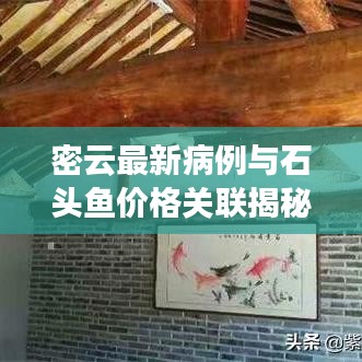 密云最新病例与石头鱼价格关联揭秘