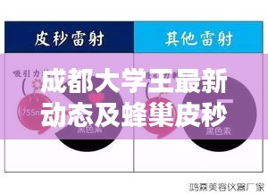 成都大学王最新动态及蜂巢皮秒755价格解析