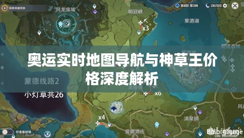 奥运实时地图导航与神草王价格深度解析