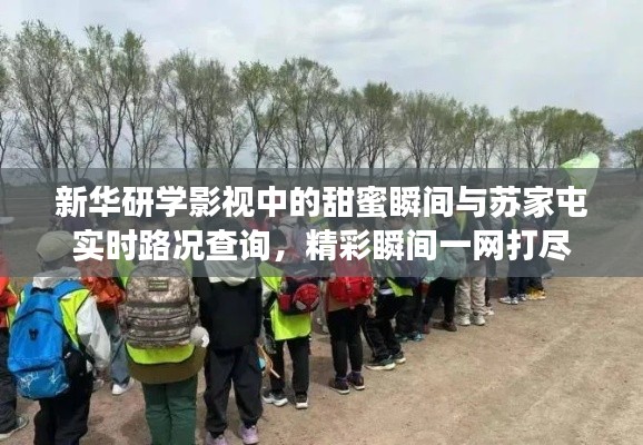 新华研学影视中的甜蜜瞬间与苏家屯实时路况查询，精彩瞬间一网打尽