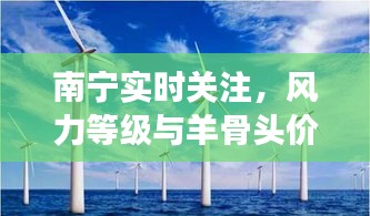 南宁实时关注,风力等级与羊骨头价格大揭秘,身边事一网打尽