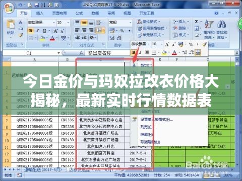 今日金价与玛奴拉改衣价格大揭秘,最新实时行情数据表