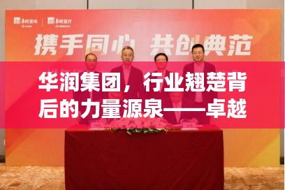 华润集团,行业翘楚背后的力量源泉——卓越领先,树立典范探究其排名之谜