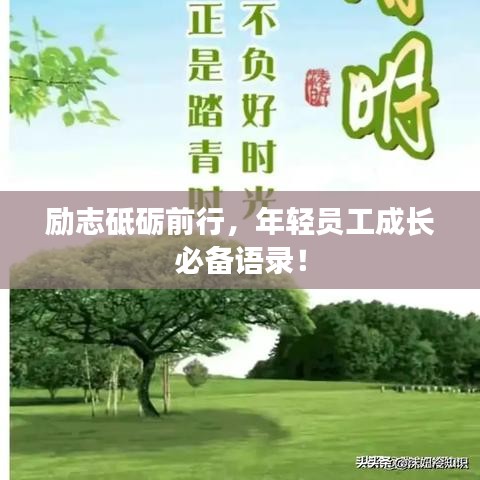 励志砥砺前行，年轻员工成长必备语录！