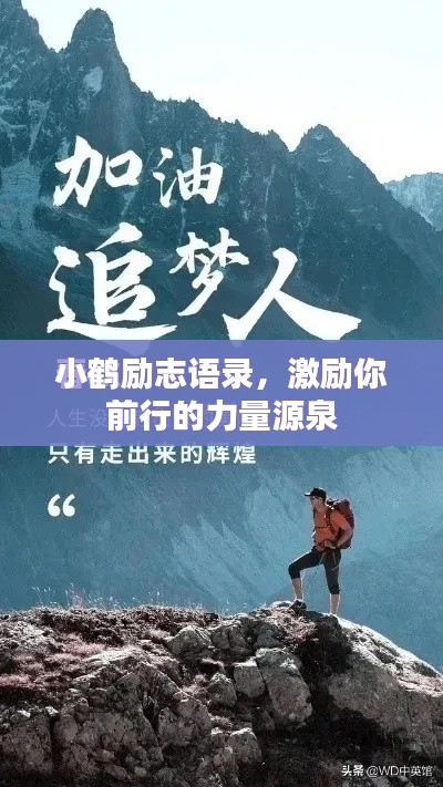小鹤励志语录，激励你前行的力量源泉