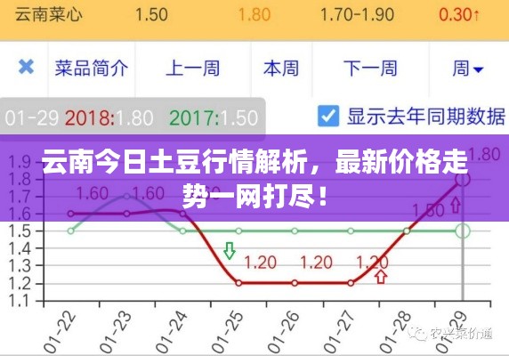 云南今日土豆行情解析，最新价格走势一网打尽！