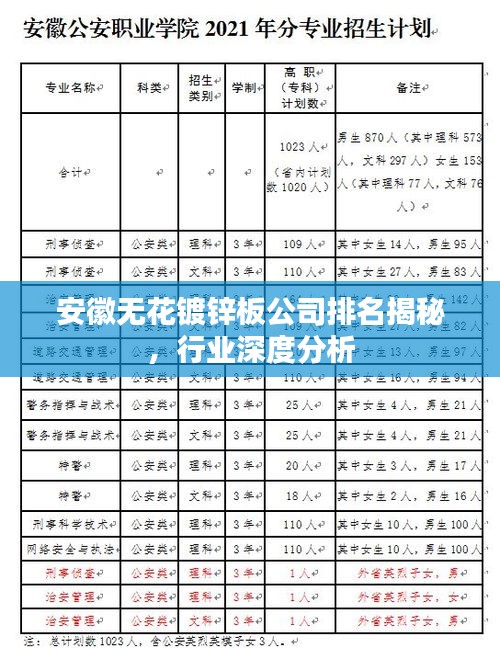 安徽无花镀锌板公司排名揭秘，行业深度分析