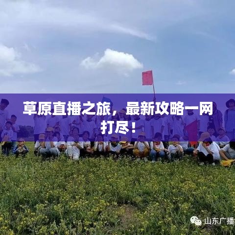 草原直播之旅，最新攻略一网打尽！