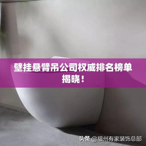壁挂悬臂吊公司权威排名榜单揭晓！