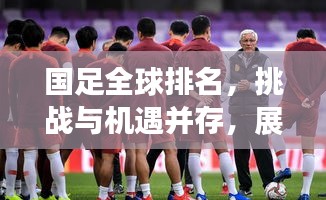 国足全球排名，挑战与机遇并存，展望未来的希望之路