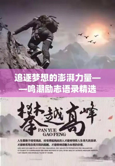 坌鸟先飞