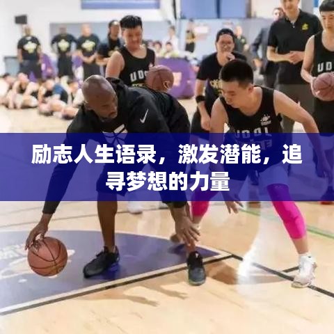 励志人生语录，激发潜能，追寻梦想的力量