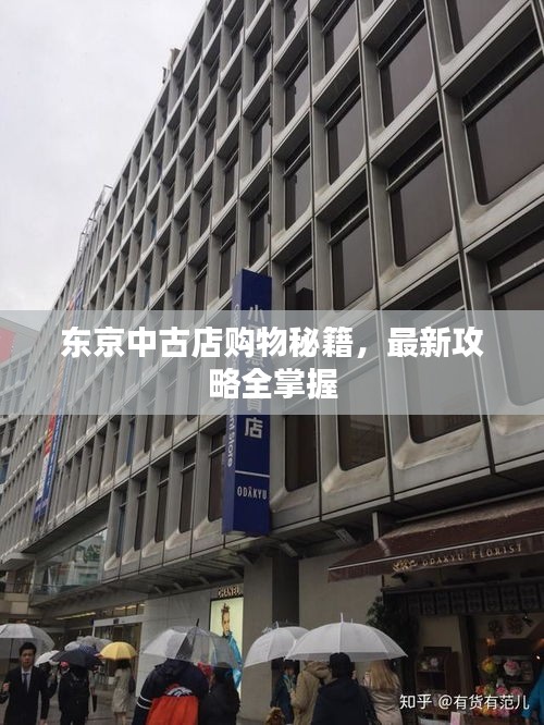 东京中古店购物秘籍，最新攻略全掌握