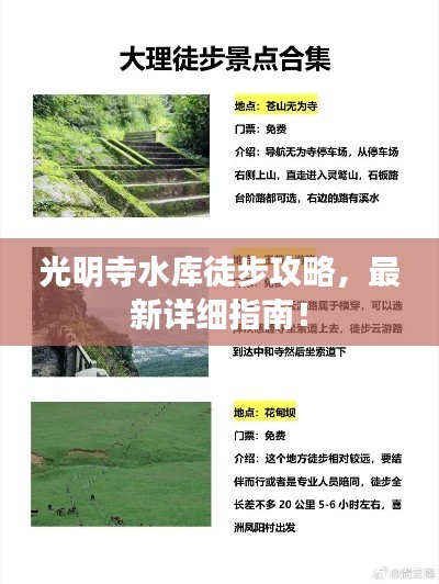 凤鸟不至