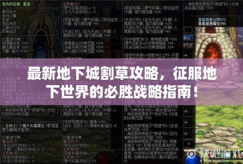 心得分享 第4页