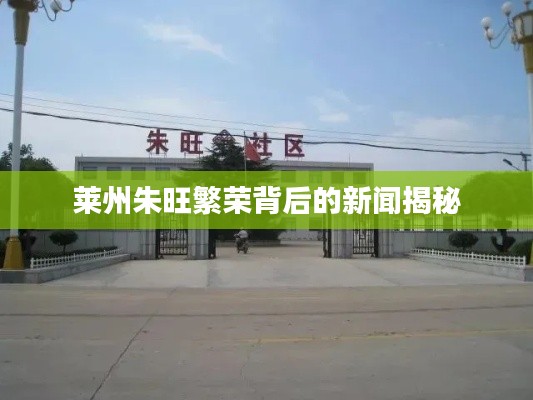 网站案例 第4页