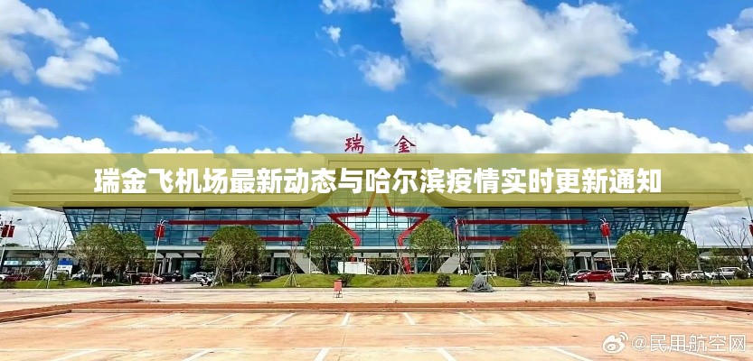 眉清目秀