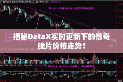 荡然无存