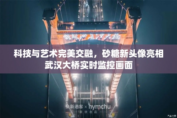科技与艺术完美交融，砂糖新头像亮相武汉大桥实时监控画面