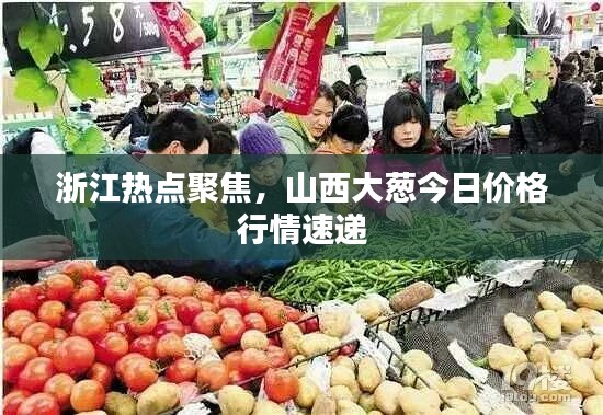 浙江热点聚焦，山西大葱今日价格行情速递