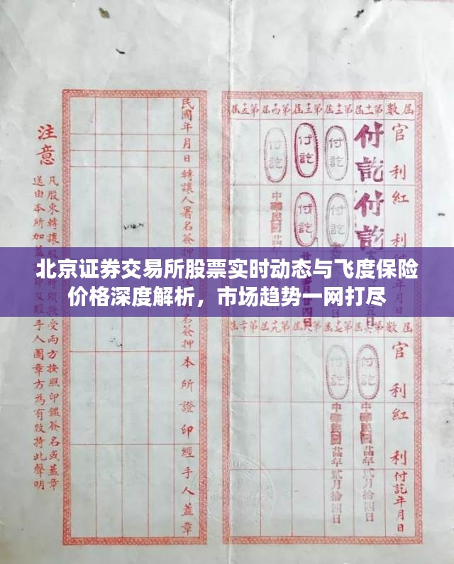 北京证券交易所股票实时动态与飞度保险价格深度解析，市场趋势一网打尽