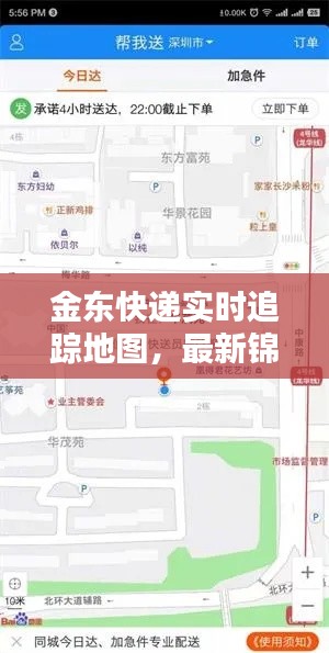 金东快递实时追踪地图，最新锦鲤揭晓，惊喜连连！